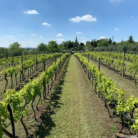 米斯特拉尔农家乐 * 索马坎帕尼亚