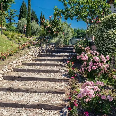 Le Mistral * 솜마캄파냐