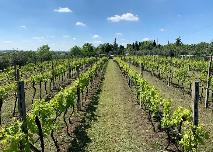 米斯特拉尔农家乐 * 索马坎帕尼亚