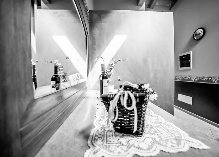 农家乐 米斯特拉尔农家乐 *