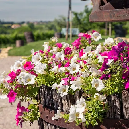 Le Mistral Sommacampagna