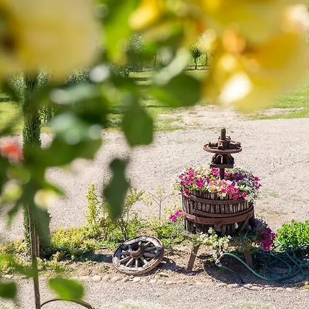 Gospodarstwo agroturystyczne Le Mistral